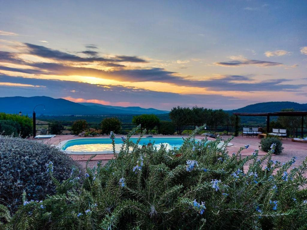 La Villa De I Casali Del Troscio Capalbio Exteriér fotografie
